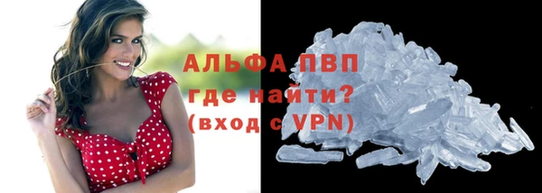 стаф Покачи