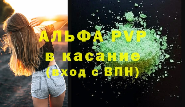 стаф Покачи