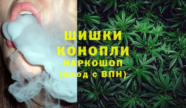 стаф Покачи