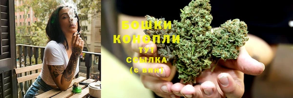 стаф Покачи