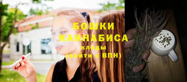 стаф Покачи