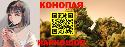 гашик Жуковский