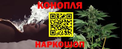 гашик Жуковский