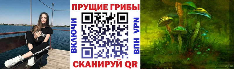 Галлюциногенные грибы прущие грибы  ссылка на мегу tor  Тихорецк 