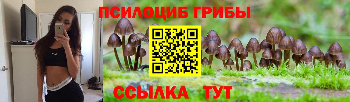 купить   Псилоцибиновые грибы мухоморы  Вход с VPN  Тихорецк 